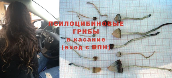 мет Аркадак