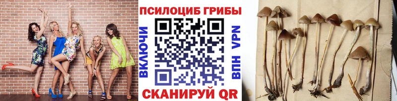 Галлюциногенные грибы Magic Shrooms  что такое наркотик  Лиски 